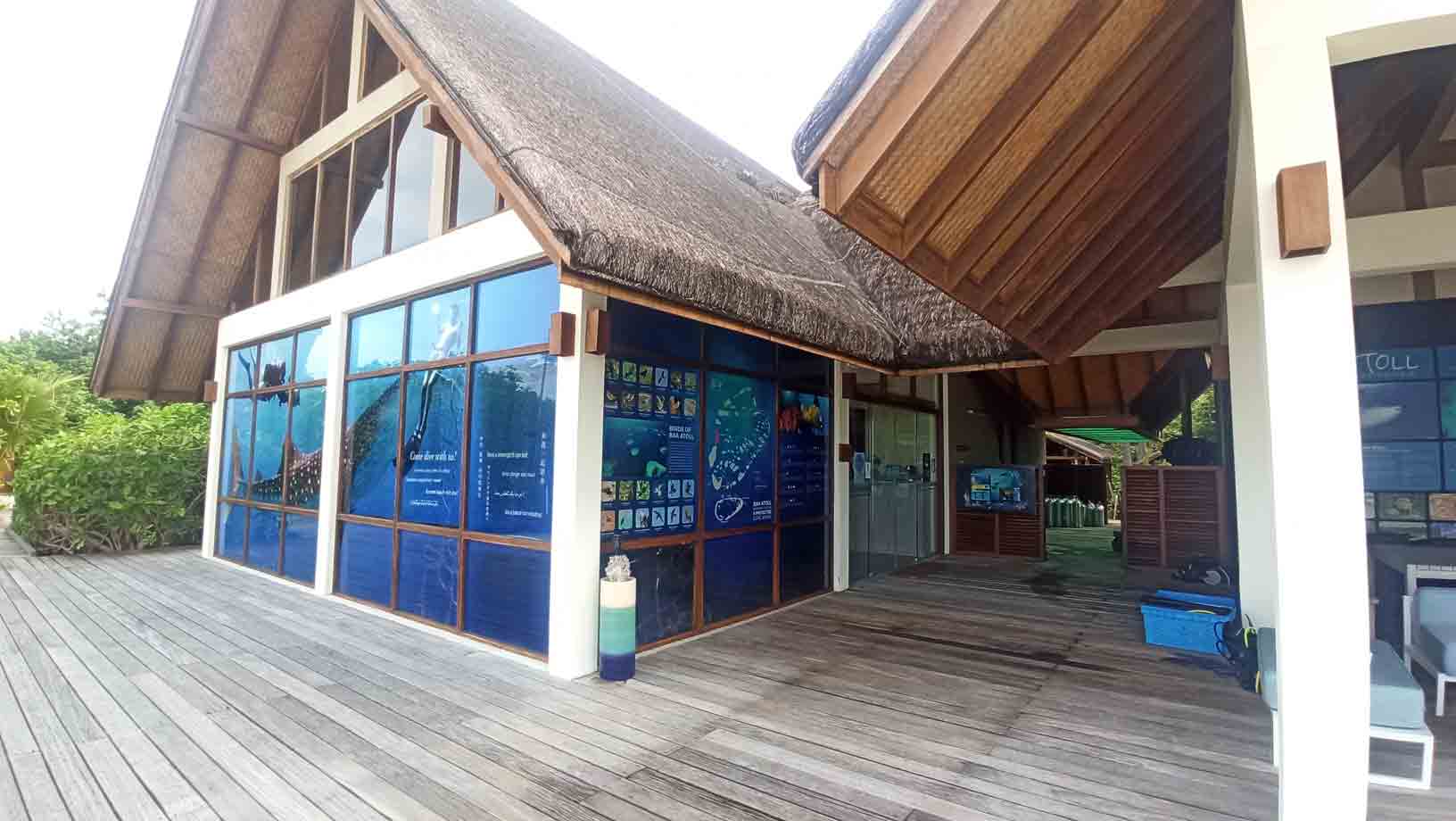 Work in Maldives as a Dive Instructor DiveGab