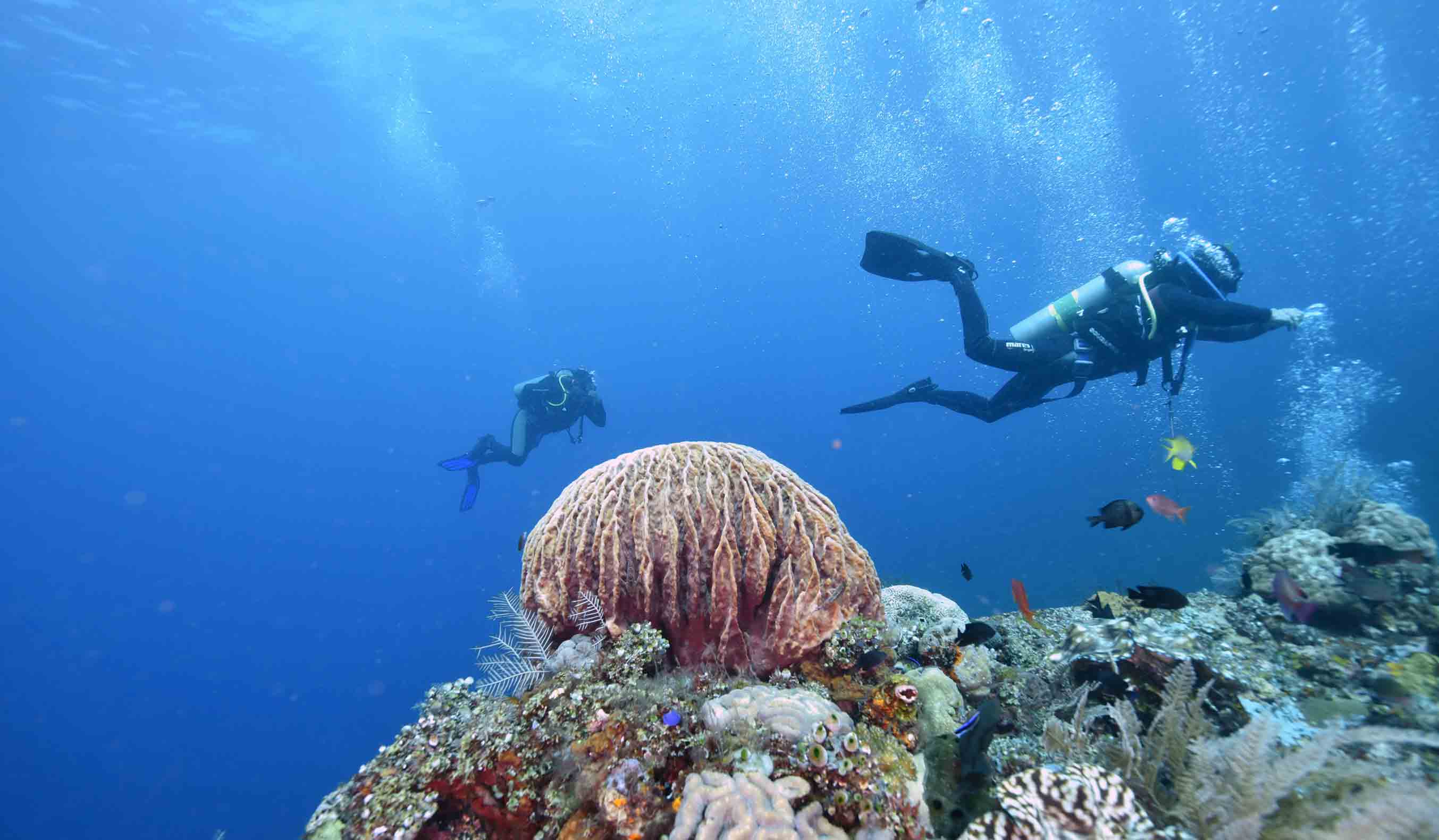 padi-scuba-diver-course-in-bali-divegab